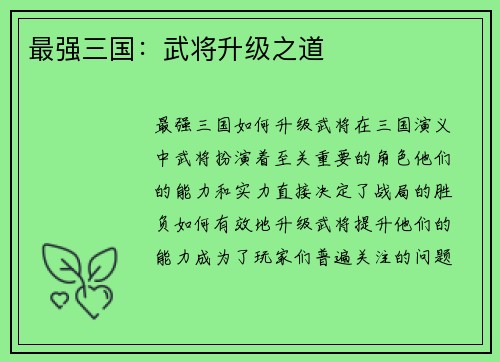 最强三国：武将升级之道