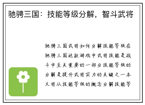 驰骋三国：技能等级分解，智斗武将